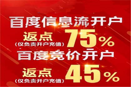 百度竞价推广托管：成功案例背后的故事
